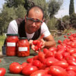 La campagna del pomodoro <small class="subtitle">~ La confezioniamo assieme con la mia consulenza.</small> La campagna del pomodoro <small class="subtitle">~ La confezioniamo assieme con la mia consulenza.</small>